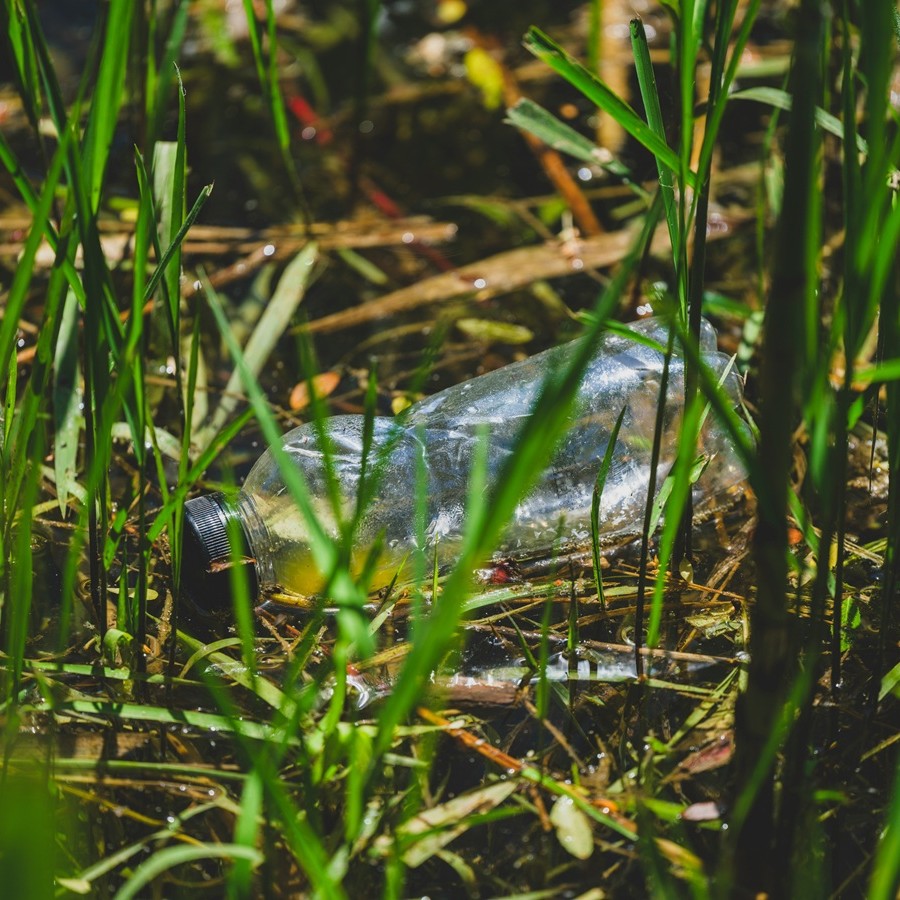 Bouteille plastique abandonnée dans la nature : sensibilisation à l’école de la problématique de la gestion des déchets.