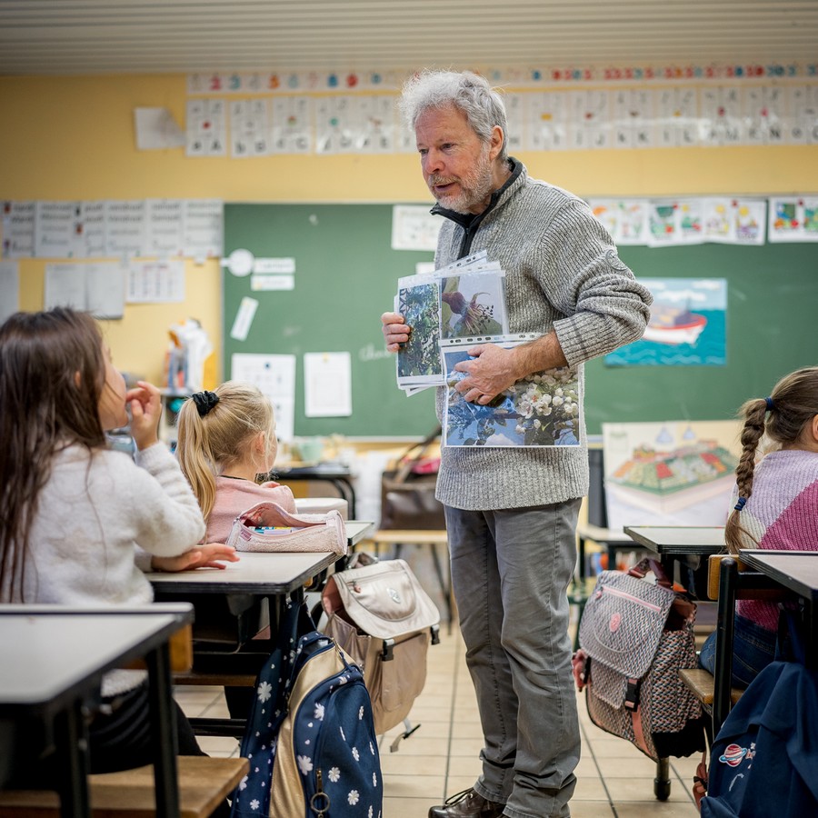l’animateur fait observer des milieux naturels, des espèces  animales et végétales variées aux élèves de primaires