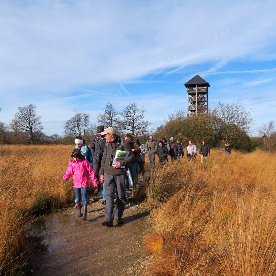 Balades nature guidées en Belgique pour découvrir la biodiversité  locale.