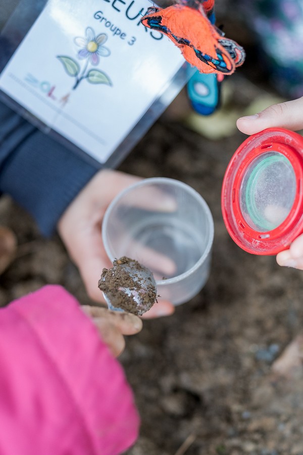 Enfants observant des animaux du sol avec une boîte-loupe en classe de  forêt