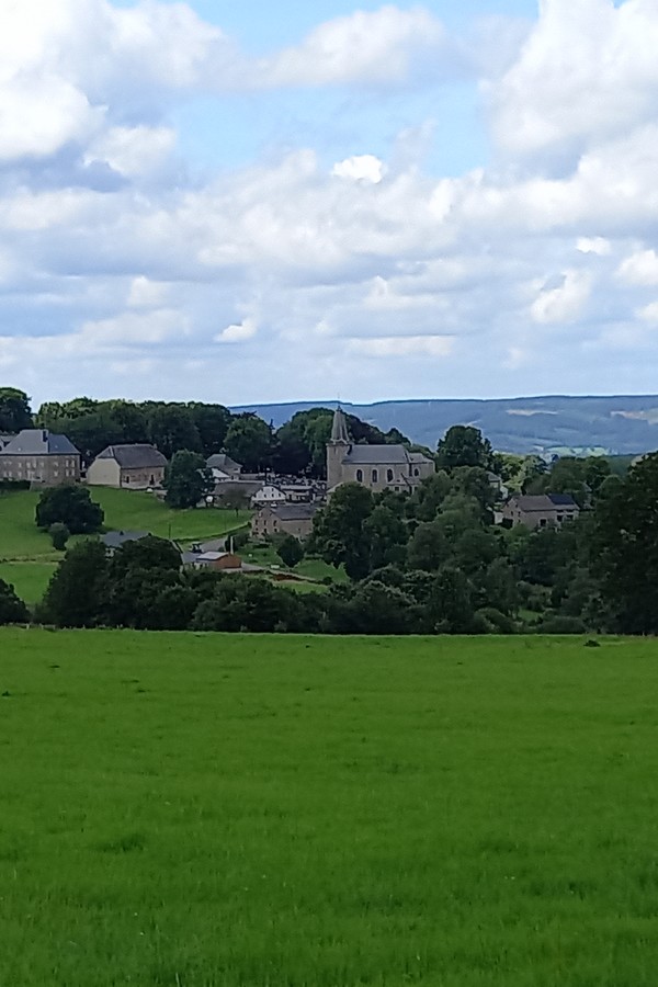Observation du paysage pour comprendre l’environnement et  différencier le vivant du non -vivant.