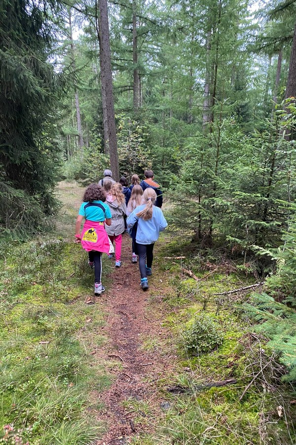 Balade sensorielle et découverte des arbres en classe de forêt.