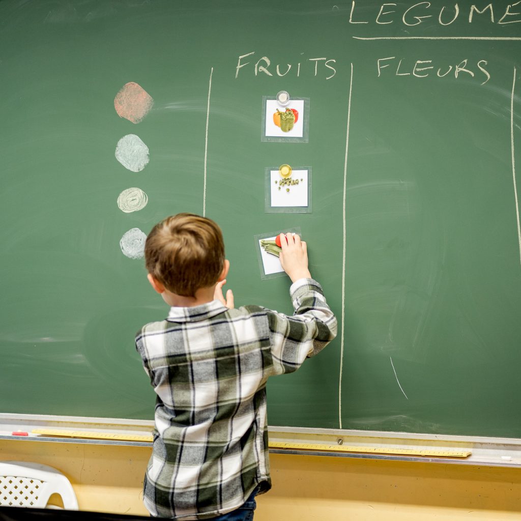 Animateur présentant les fruits et légumes de saisons aux  élèves en classe. (Maternelles et primaires)